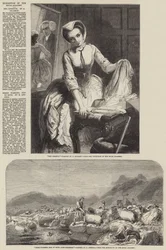 Exhibition of the Royal Academy